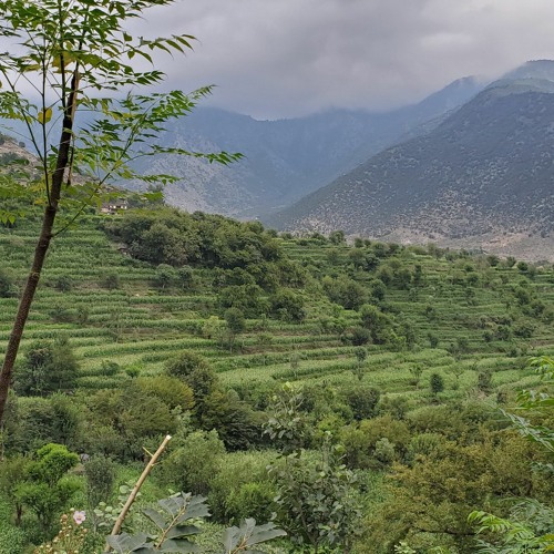 Rasool Khan Mutaqi Pashto Naat Wa Zakhmi Zakhmi Shwo ( Di Taif Waqiaa)
