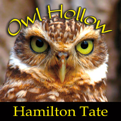 Hamilton Tate