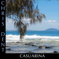 Casuarina
