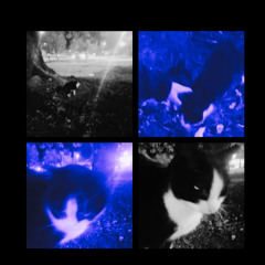 seu amor falso era importante pra mim