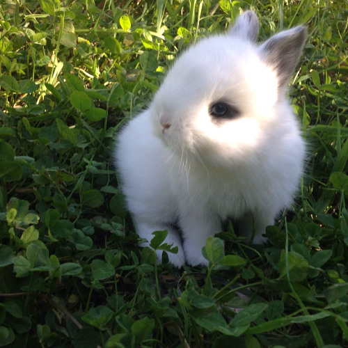 Rip Maxon w/Dizzy Utopia [Log #6]