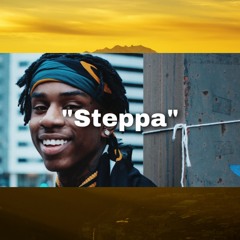 [FREE] Polo G // NoCap // Rylo Rodriguez Type Beat - "Steppa" (prod. @cortezblack)