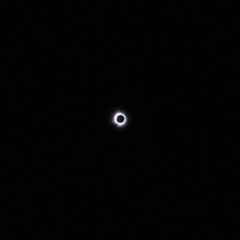 Crowds react to a total solar eclipse