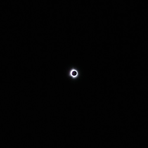 Crowds react to a total solar eclipse