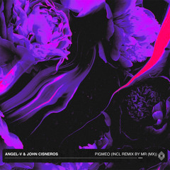 Pigmeo (MR (MX) Remix)