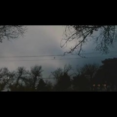 Be Man Nagu Dooset Daram Live (Dariush)