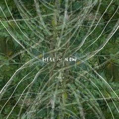 Full Moon 🌕 1 25 24 🌿 Meditation