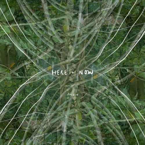 Full Moon 🌕 1 25 24 🌿 Meditation