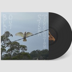 BSR-111 Sienna Thornton - 'Birding Out'