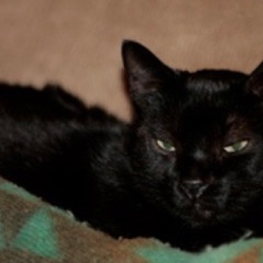 Oliver Hates Everything