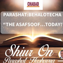 “THE ASAFSOOF….TODAY!” - PARASHAT BEHALOTECHA - Sharone Lankry 5784
