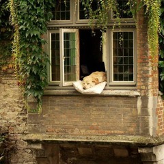 you never was in my dream(this song has been officially released! thank you for listening :))