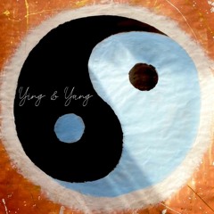 BASSAUER - Ying & Yang Set 2023