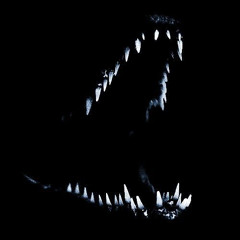 blacklight