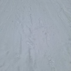 радикализм