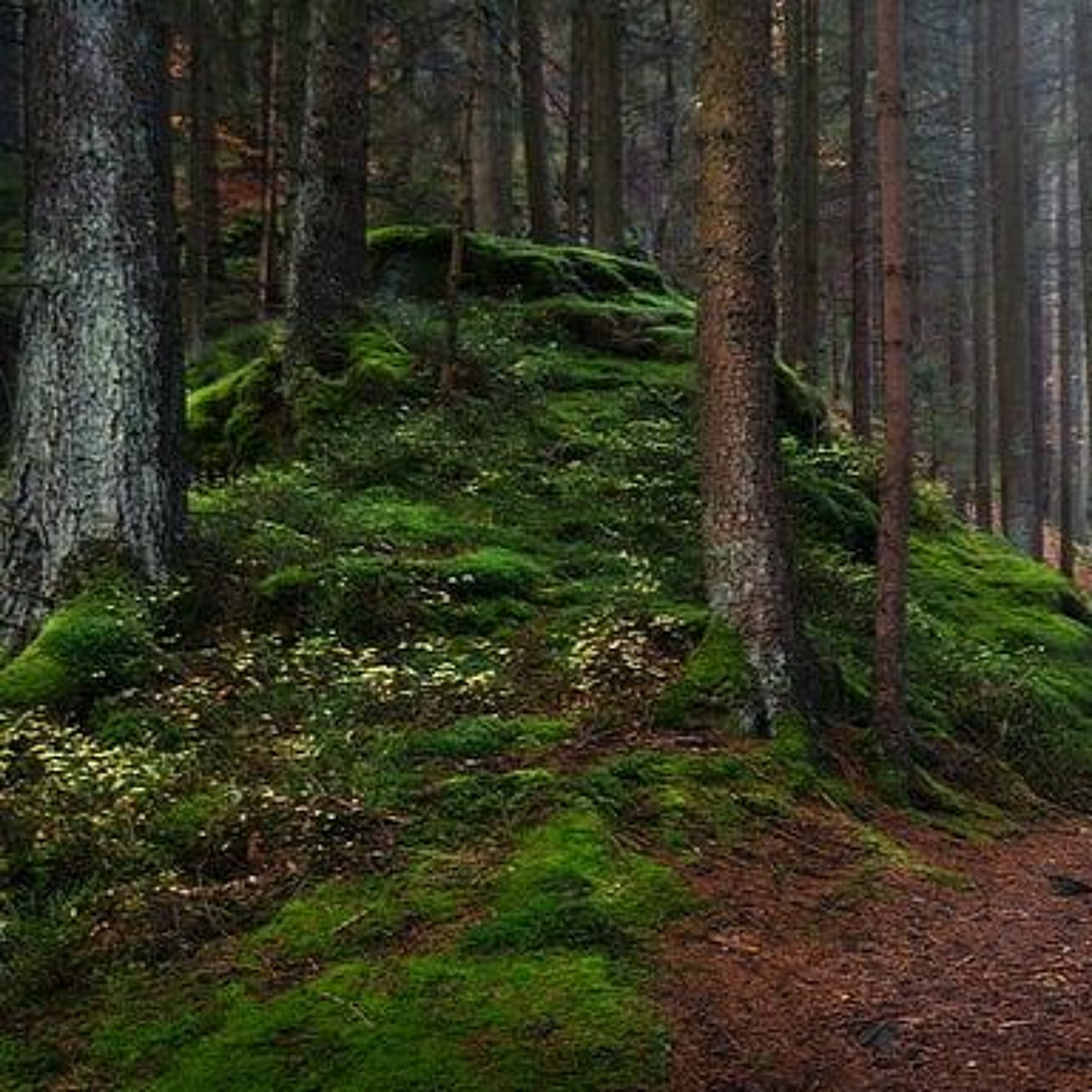 Into The Forest [Dj Set 04.2020 (148 - 158BPM)][WAV DOWNLOAD]
