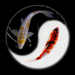 wabi sabi