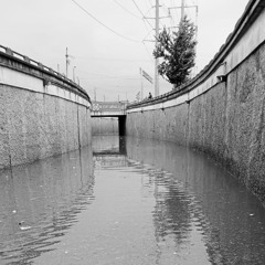 SHIFTER (DEEP VOX CUT)