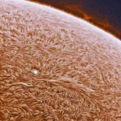 TRS [ Watch the Sun and Moon Dance ] 16 -  ft. FRAWSTAKWA