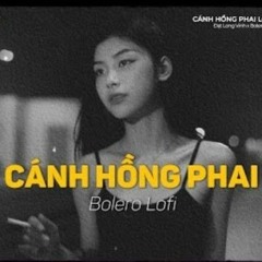 Cánh Hồng Phai - (Lofi Ver_) _ Đạt Long Vinh x Bolero Lofi _ Nàng như một đóa hồng phai