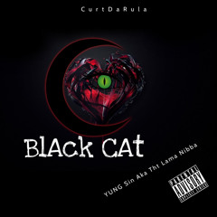 Black CAT  Engineered by curtdarula