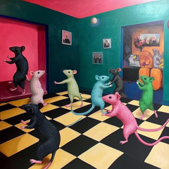set o4
