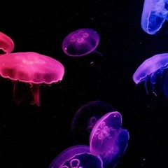 abgeschMatst aufm Luhrmannhof