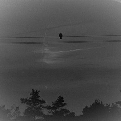 At The End Of It All