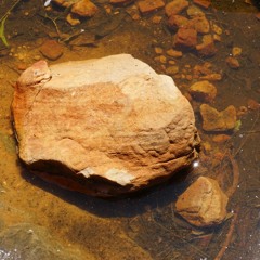 The Ground