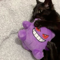 MTG - PUTA SÓ DA CE PAGAR = ( ( DJ BIEL DO ALTO ) ) - Feat MC MAGRINHO