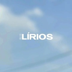 Lírios ✨