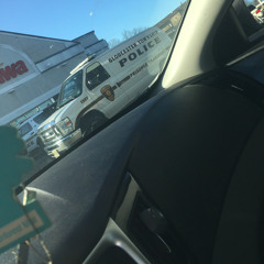 Palm Talk ~ft (STG Kar)