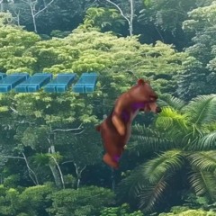 pedazos