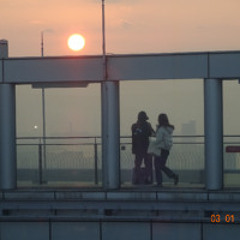Distant love
