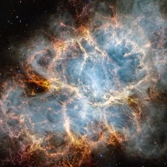 Nebular Crabe XTC Redge 23H23