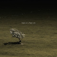 Habit of a Past Life (Edit)