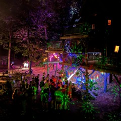 Pierrückt @ Forest Party - 2024-07-29 - Part 1