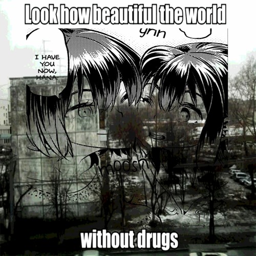 Psychedelic Experience