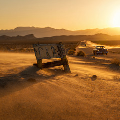 Desert Gold