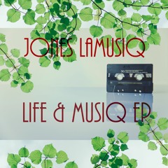 Life Goes On (Soulful Pick Up)