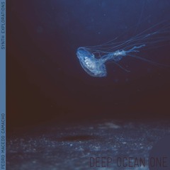 Pedro Macedo Camacho - Deep Ocean ONE