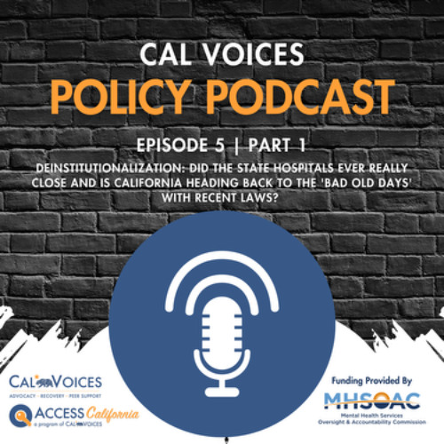 Cal Voices Policy Podcast | Episode 5, Part 1: Deinstitutionalization