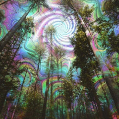 real life geeker (prod me)