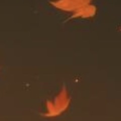 Embers