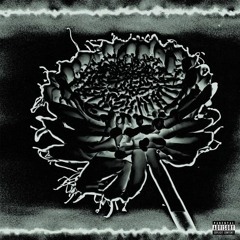 Nettspend - That One Song