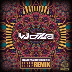 Blastoyz & David Gravell - Never Sleep (WoZa Remix) ★ Free Download★ by Psy Recs 🕉