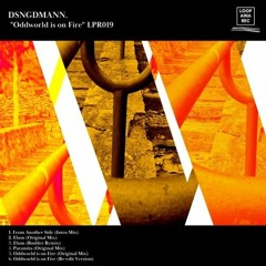 68# PREMIERE: DSNGDMANN - Paramita (Original Mix) [Loopaina Records]