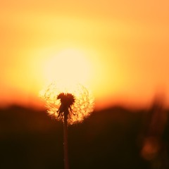 House healed me🧡 - VibeSelector I Mauzen x Kanaldisco SEP @Casino Potsdam 30.01.26