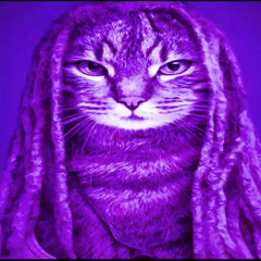 R4ND0M SH1T