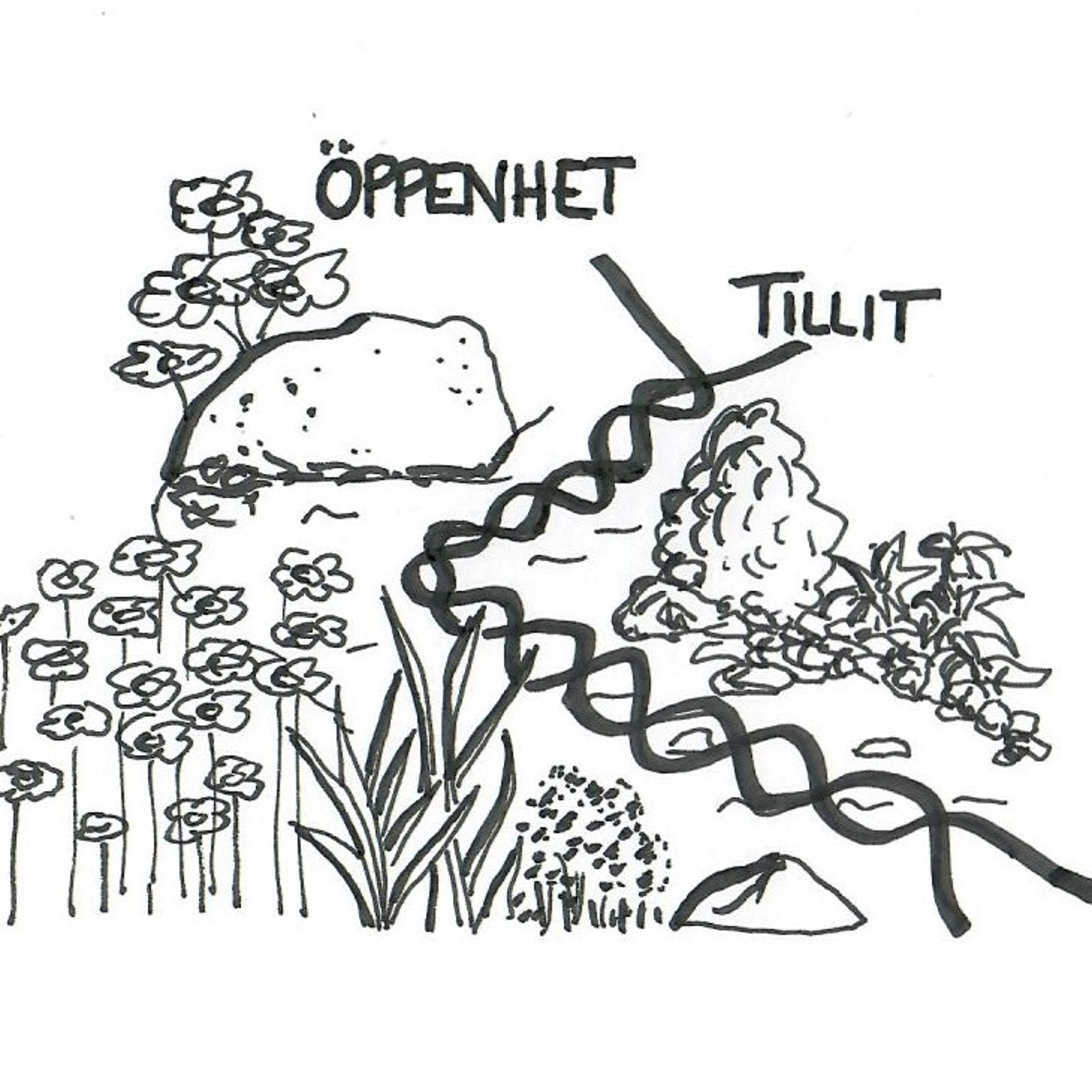 Konsten att samverka Podcast